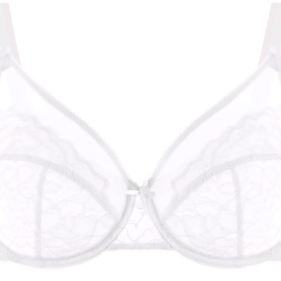 Lace Minimizer Bras - Picture 3 of 6